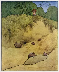 Das Kaninchen