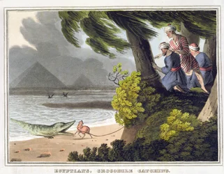 Ägypter fangen Krokodile, graviert von Matthew Dubourg (fl.1785-1820), veröffentlicht von Edward Orme