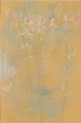 Tigerlilien