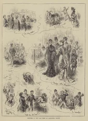 Skizzen auf der Ziegenschau im Alexandra Palace