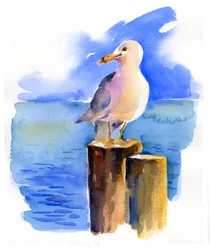 Möwe auf dem Dock
