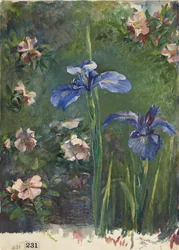 Wilde Rosen und Schwertlilien