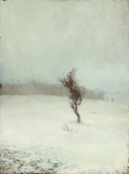 Schneesturm 1865
