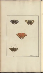 Lindsay-Zeichnungen Bd. VI, 41