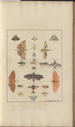 Lindsay Zeichnungen Band VI, 68