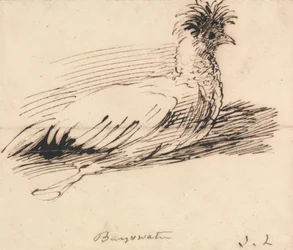 Ein Huhn