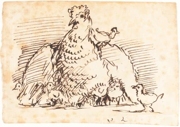 Hühner und Küken