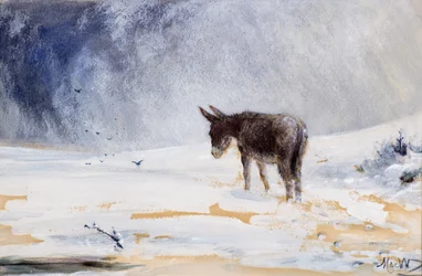 Esel im Schnee