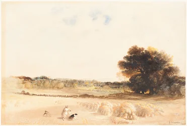 Ährenleserinnen im Weizenfeld