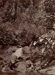 Tropische Landschaft, Wasserfall, Limon River, 1871