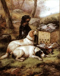 Die Tagesbeute, um 1910