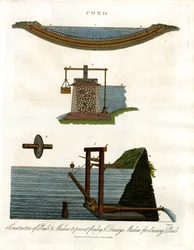 Teich: Querschnitte und Bewässerungsmechanismen