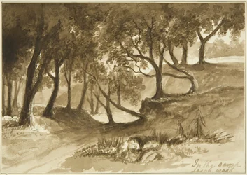 Ansicht im Burwalls Camp, Leigh Woods