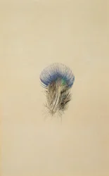 Studie einer Pfauenfeder, 1873