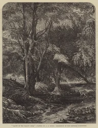 Heimat des Damhirsches