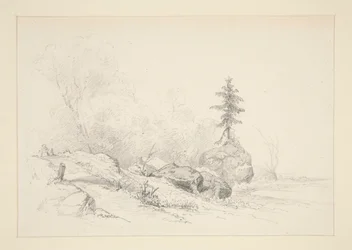 Landschaft