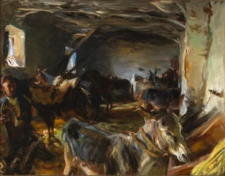 Stall in Cuenca, 1903