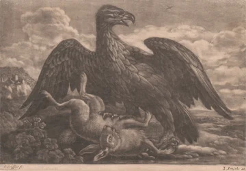 Adler und Hase