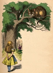 Alice und die Grinsekatze, 1889