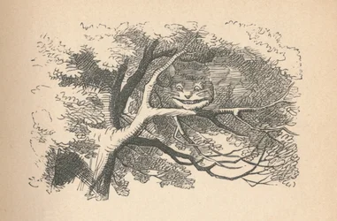 Die Grinsekatze beginnt zu verschwinden, ihr Lächeln ist das letzte, das verschwindet, 1889
