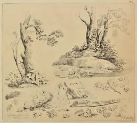 Blatt mit Studien von Baumstämmen und Laub
