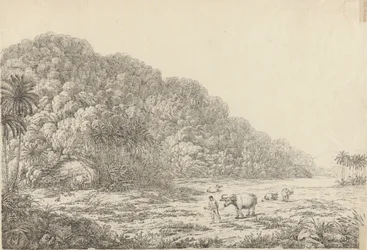 Ansicht der Insel Pulo Condore