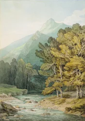 Auf dem Dart in Holne Chase