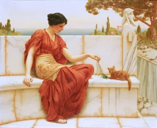 Der Favorit, 1901