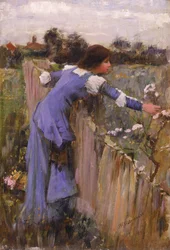 Die Blumenpflückerin