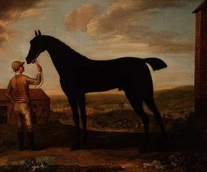 "Basto", dunkelbraunes Rennpferd, das von einem Stallburschen vor dem Stall in Newmarket gehalten wird