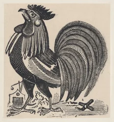 Ein Hahn, ca. 1880-1910