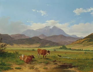 Landschaft mit Schneeberg
