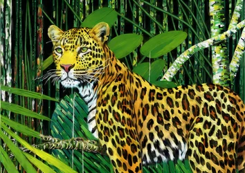 Tiere: Leopard 1