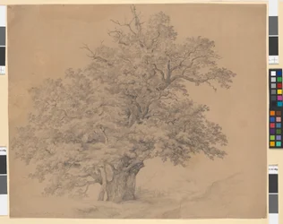 Der große Praterbaum