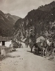 Album "Meine Weltkriegs-Erinnerungen Südwestfront (Kärnten, Italien, Südtirol) 31/03/1915-12/11/1918 - Josef Zohles Wien": Militärwagen (s/w Foto)