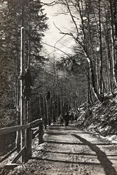 Album "Meine Weltkriegs-Erinnerungen Südwestfront (Kärnten, Italien, Südtirol) 31/03/1915-12/11/1918 - Josef Zohles Wien": Soldaten bei der Arbeit (s/w Foto)