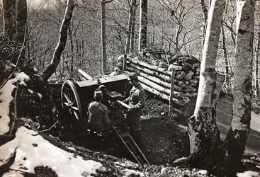 Album "Meine weltkriegs - Erinnerungen Südwestfront (Kärnten, Italien, Südtirol) 31/03/1915-12/11/1918 - Josef Zohles Wien": Soldaten mit Kanone