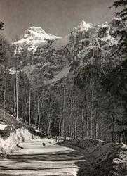 Album "Meine Weltkriegs-Erinnerungen Südwestfront (Kärnten, Italien, Südtirol) 31.03.1915-12.11.1918 - Josef Zohles Wien": Bergstraße (s/w Foto)