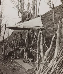 Album "Meine weltkriegs - Erinnerungen Südwestfront (Kärnten, Italien, Südtirol) 31/03/1915-12/11/1918 - Josef Zohles Wien": Militärhund unter einem Zelt