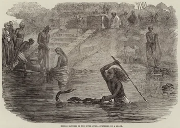 Hindoo-Bader im Fluss Jumna von einer Schlange überrascht