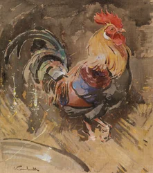 Der Menorca-Hahn