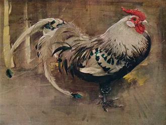 Der gesprenkelte Hahn, 1903, 1935
