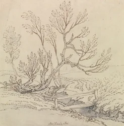 Fußgängerbrücke über einen Bach in der Nähe eines Weidenbaums