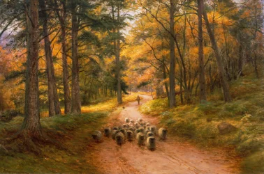 Heimwärts