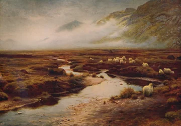Das Moos bei Poolewe, 1913