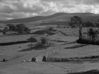 Eine Gruppe von Kindern sammelt einen großen Haufen Baumzweige am Straßenrand, Hühner im Vordergrund