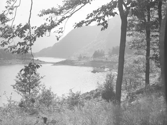 Thirlmere durch Baumzweige