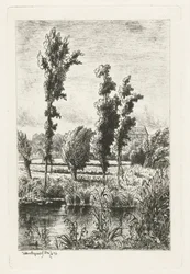 Bäume an einem Graben