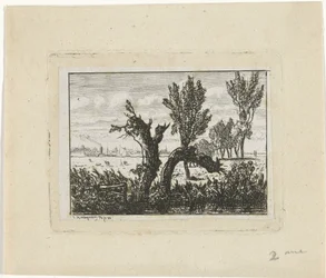 Landschaft mit Kopfweiden