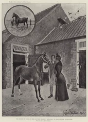 Die Prinzessin von Wales und ihr Lieblingsjährling Alexandra auf der Gestütsfarm, Sandringham